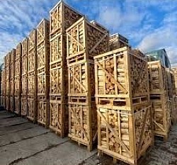 20m³ BIRKENHOLZ 900€