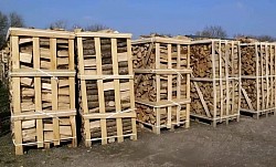 10m³ EICHENHOLZ 500€